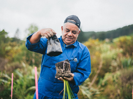 Man taking seedling out of pot.