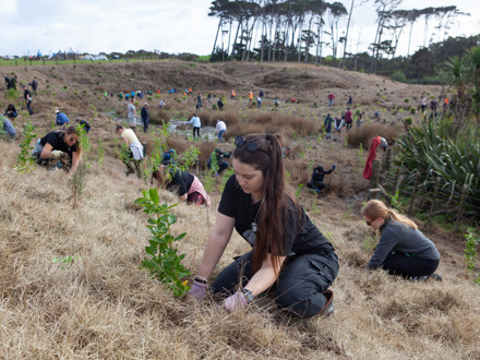 Woman plants seedling among a crowd of planting day volunteers