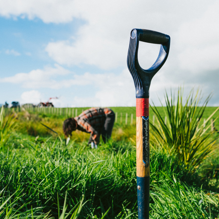 Image of Spade with person in the background planting 