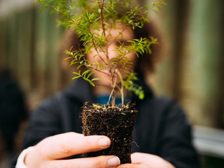Woman holding up native seedling to camera 