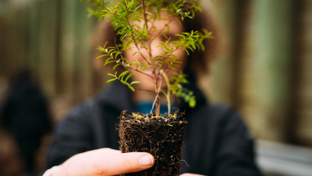 Woman holding up native seedling to camera 